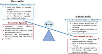 The multifaceted nature of IL-10: regulation, role in immunological homeostasis and its relevance to cancer, COVID-19 and post-COVID conditions